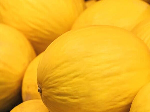 melon